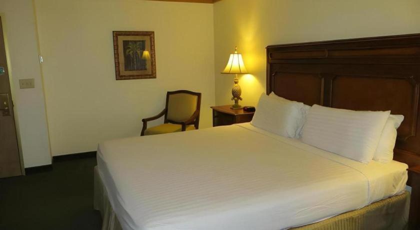 El Cortez & Casino - 21 And Over Only (adults Only) Las Vegas