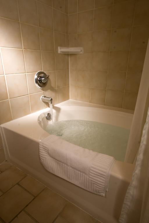 Hotel Blue Moon Gay