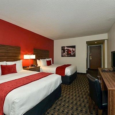 The D Vegas 3*