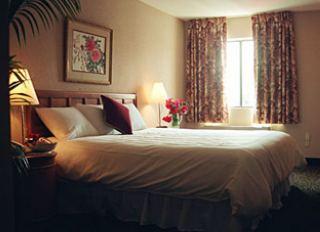 Hotel Blue Moon Gay