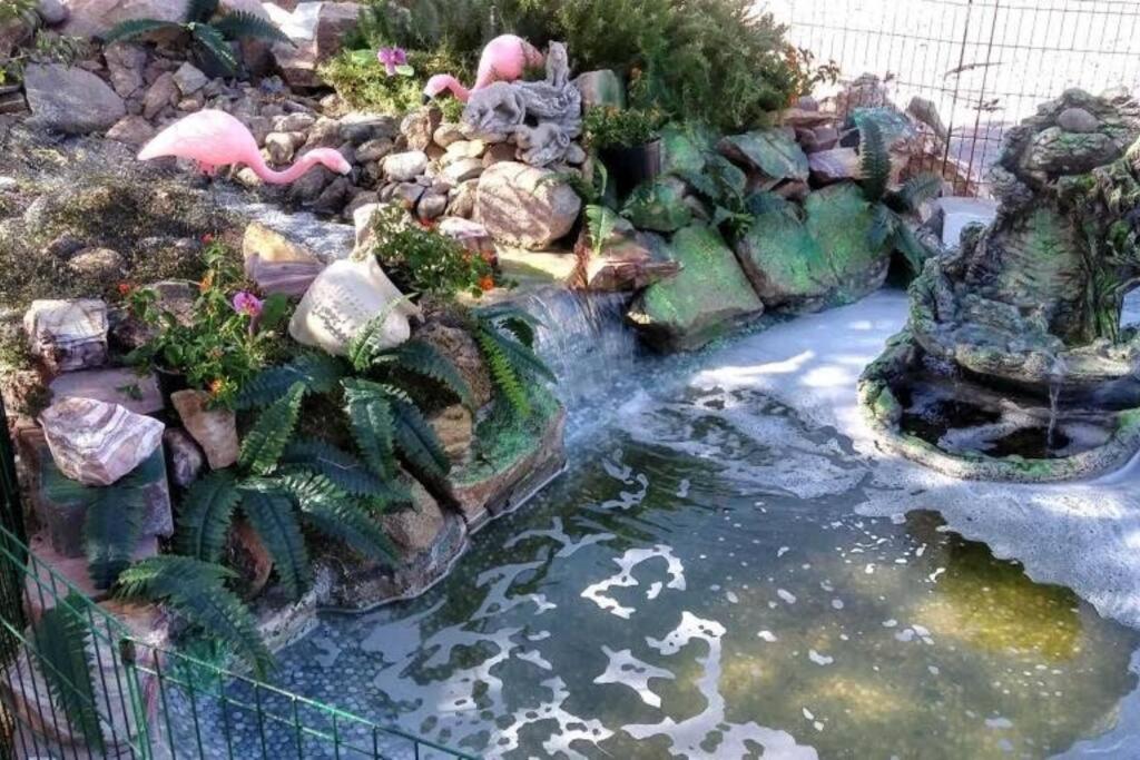 Enjoy Fruits Of Your Labours Staying At 601 Grape Drive Holiday home Las Vegas