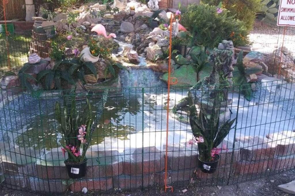 Enjoy Fruits Of Your Labours Staying At 601 Grape Drive *