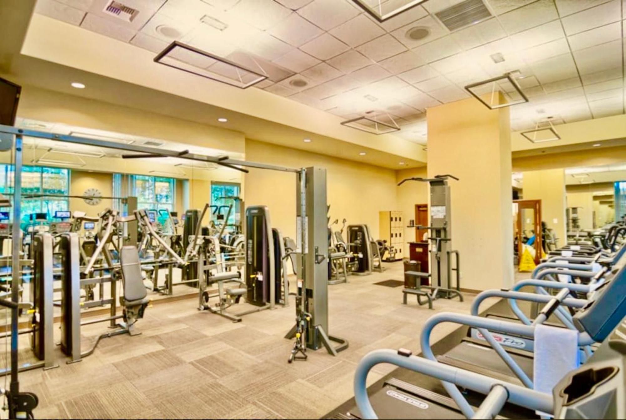 Strip View - No Fee !