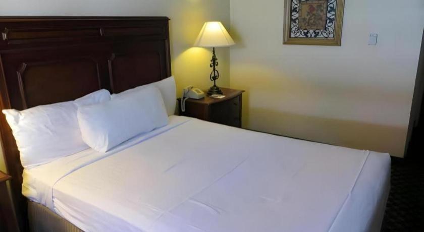 Hotel El Cortez & Casino - 21 And Over Only (adults Only) 3*