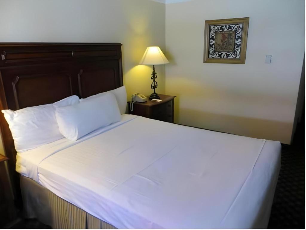 El Cortez & Casino - 21 And Over Only (adults Only) Las Vegas