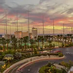 Mgm Signature Pool View