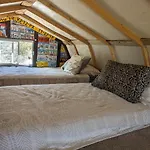 Wild Sage Camp
