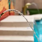 Mirage Pool House - Heart Of Lv, Swimming Pool, Games, Heavenly Relaxation