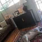 Turtles Spot