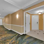 Aurora Haven Mgm