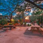 The Oasis
