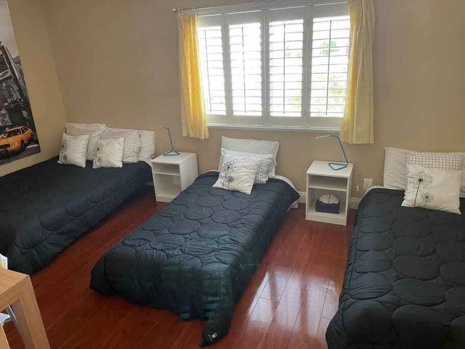 Cozy In Quiet Neighborhood Vakantiehuis *