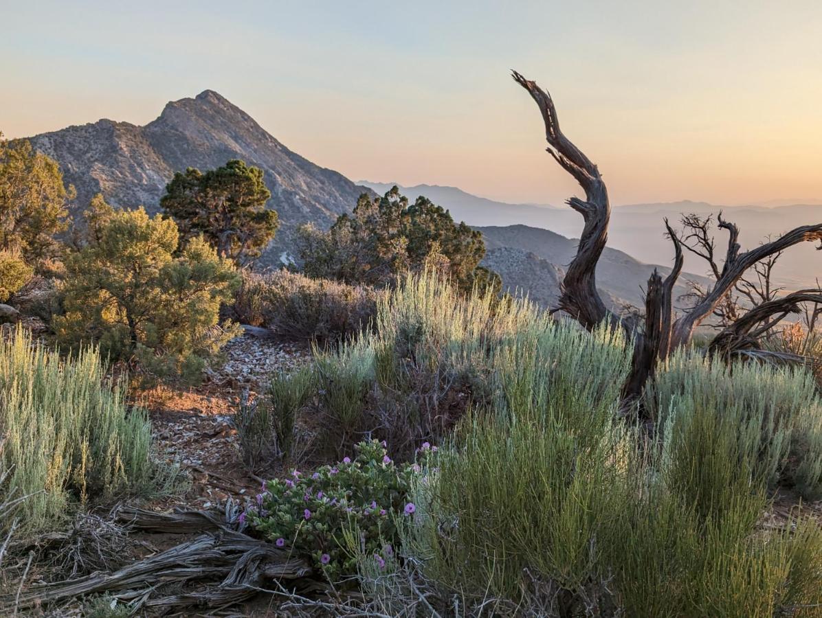 Wild Sage Camp Holiday home