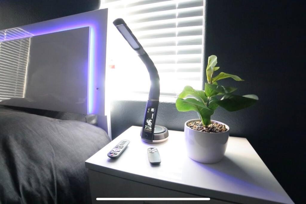 Apartment Oasis *
