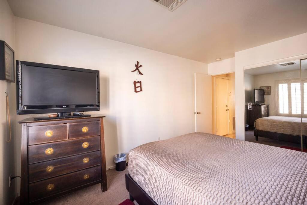 South Point Mgm 7 Mi. Lv Raiders, Adults Only Las Vegas