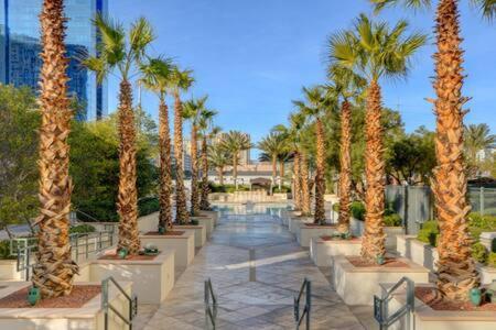 Mgm Signature-15-717 F1 Track & Strip View Balcony Holiday home