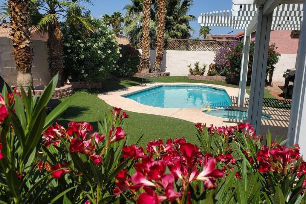 Comfortable Family Las Vegas