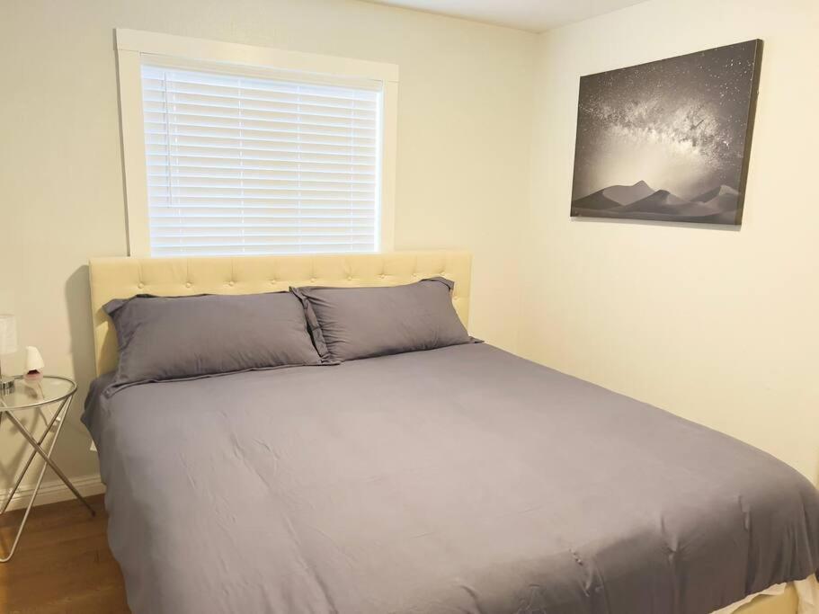 Enjoy Fruits Of Your Labours At Grape Dr- View 3d Las Vegas
