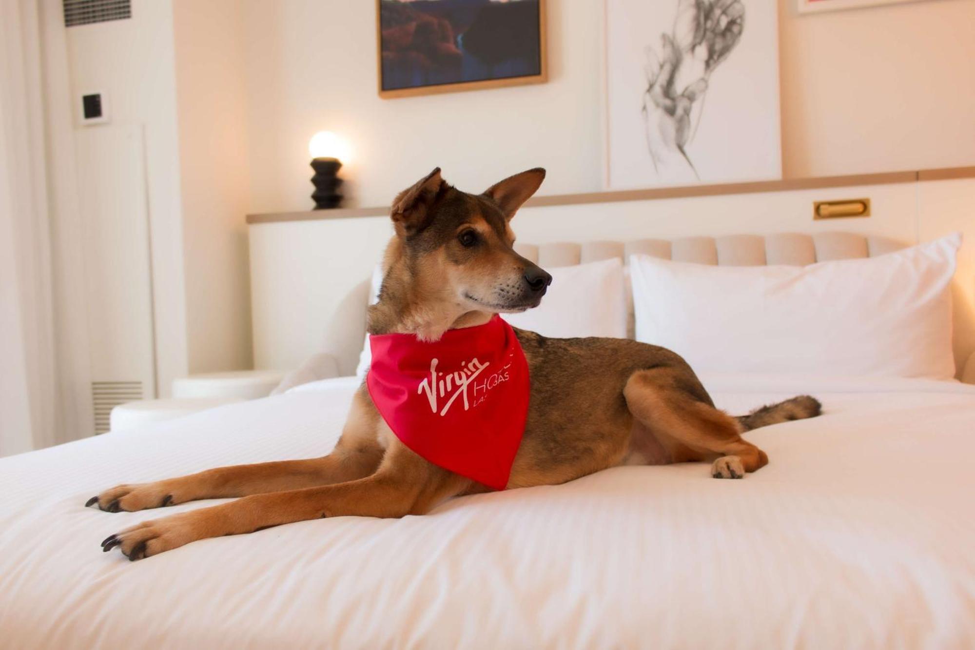 Virgin Las Vegas, Curio Collection By Hilton Las Vegas
