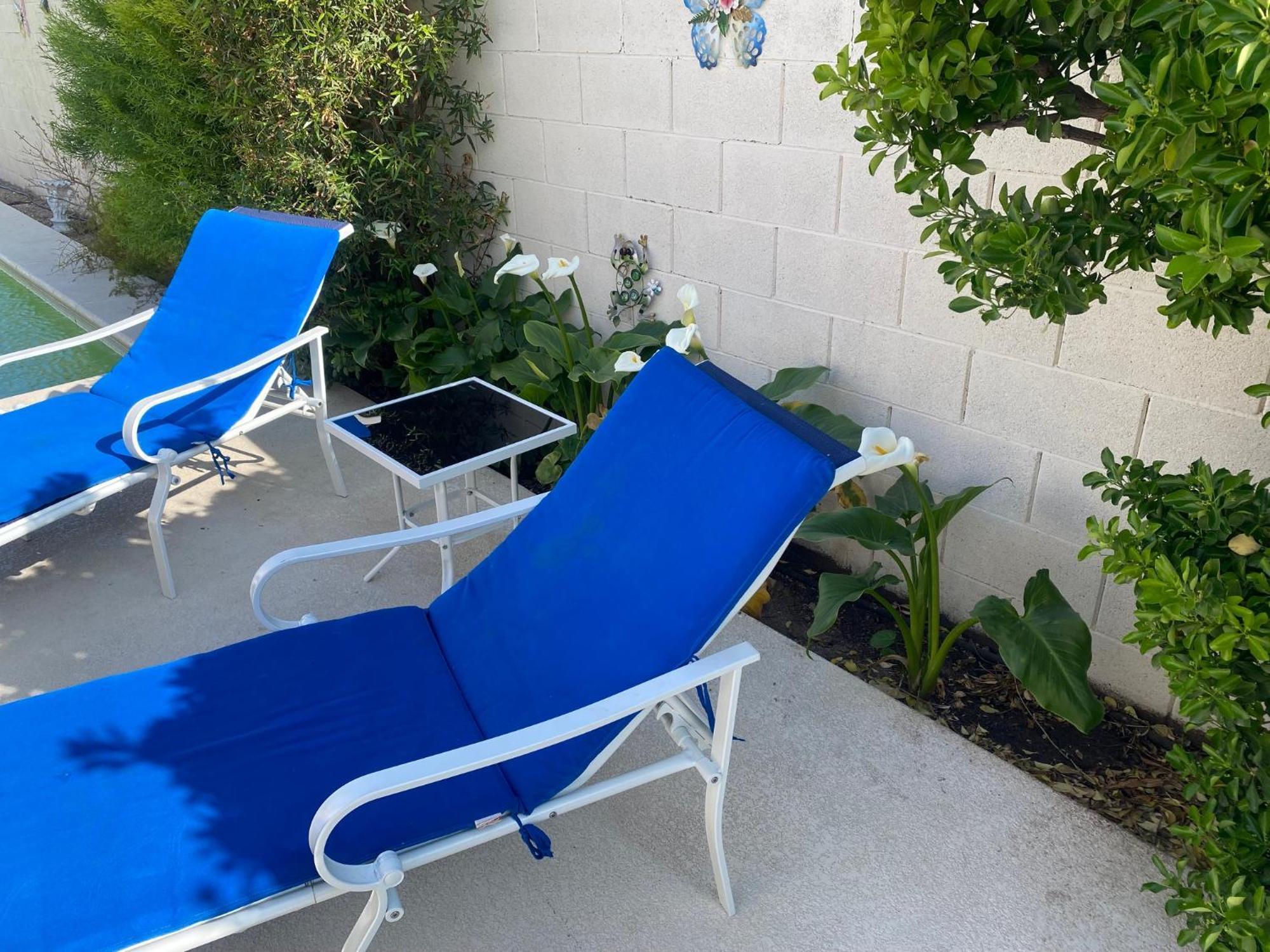 Luxury 1900 Sq Ft House Huge 46 Ft Pool & Hot