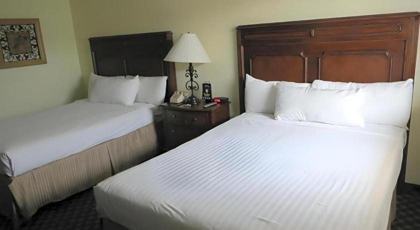 El Cortez & Casino - 21 And Over Only (adults Only) Las Vegas