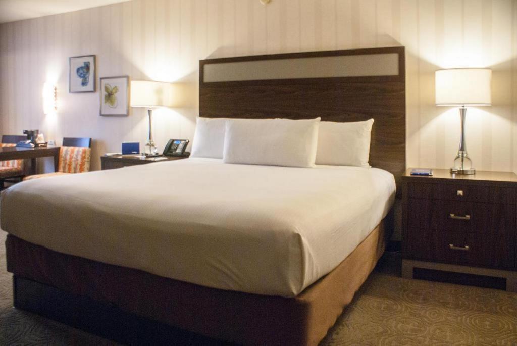 Resort Gold Coast And Casino 3*