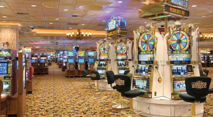 Gold Coast And Casino