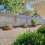 Cozy Getaway With King Bed, Bbq & Spacious Backyard