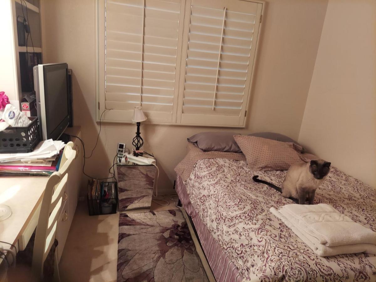Catmosphere 2 Homestay