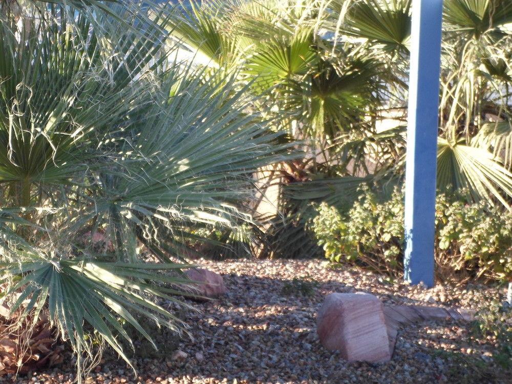 Howard Johnson By Wyndham Vegas Near The Strip 2*