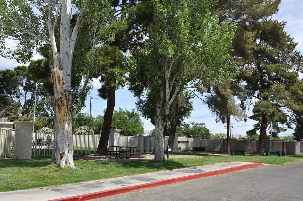 Camping Cabin 5 Las Vegas